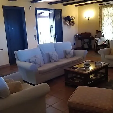 The Palm *