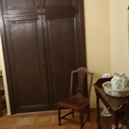 The Palm Villa *